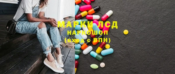 дурь Каменка