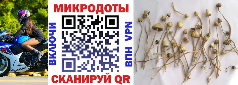 Псилоцибиновые грибы ЛСД blacksprut зеркало маркетплейс клад Щёлково